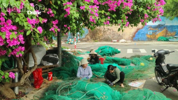 Nhịp sống nơi làng chài Cửa Bé