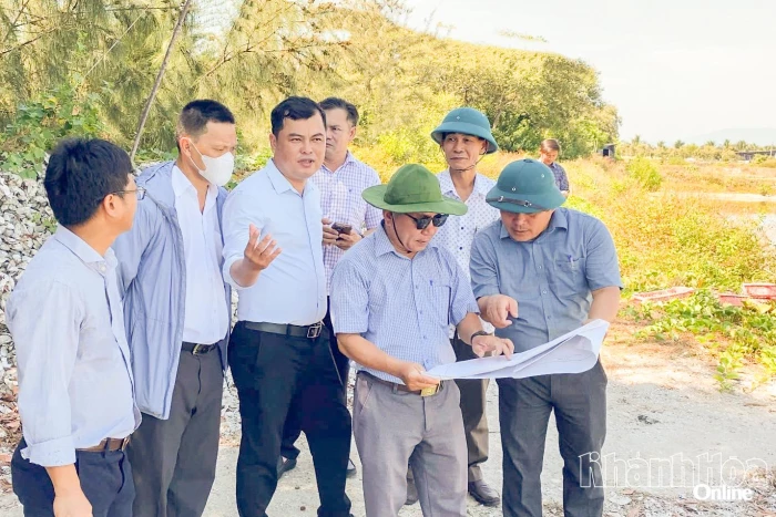 Xã Đại Lãnh: Quản lý chặt để khai thác hiệu quả đất công