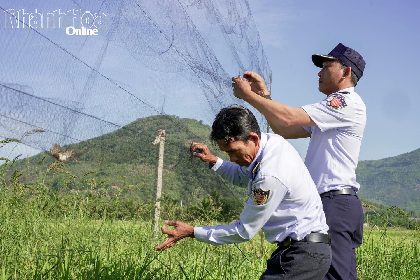 Lực lượng chức năng thu giữ lưới tàng hình bắt chim yến trái phép. 