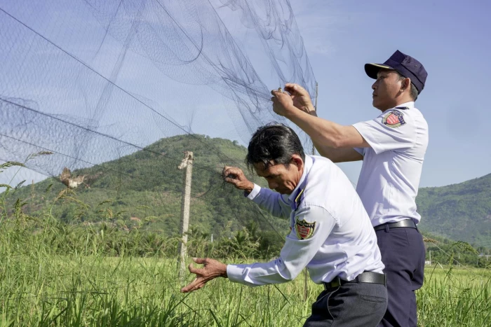 Tìm hướng đi cho ngành yến