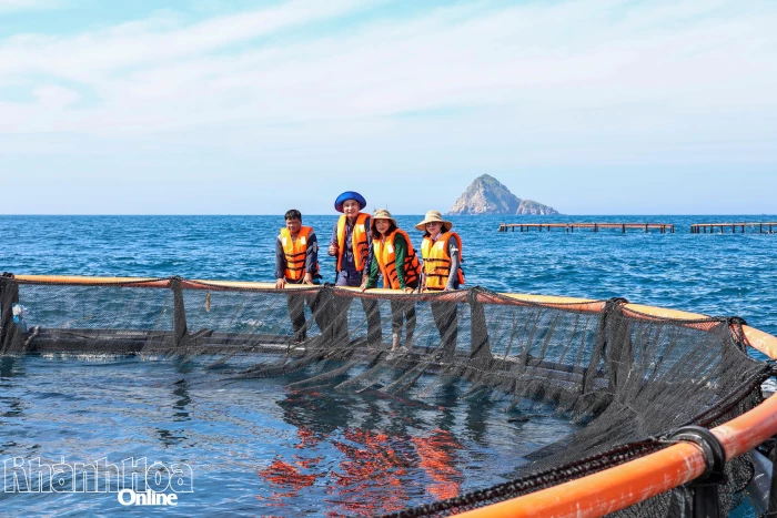 Thành lập các tổ hỗ trợ thực hiện nông thôn mới trong trong lĩnh vực thủy sản