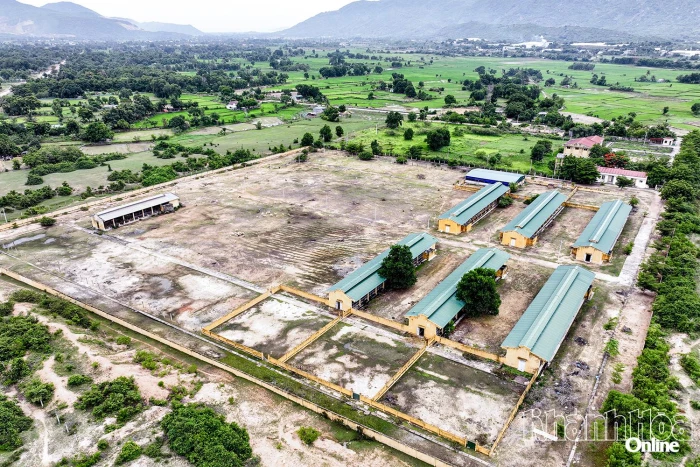 Đất bỏ hoang giữa vùng 