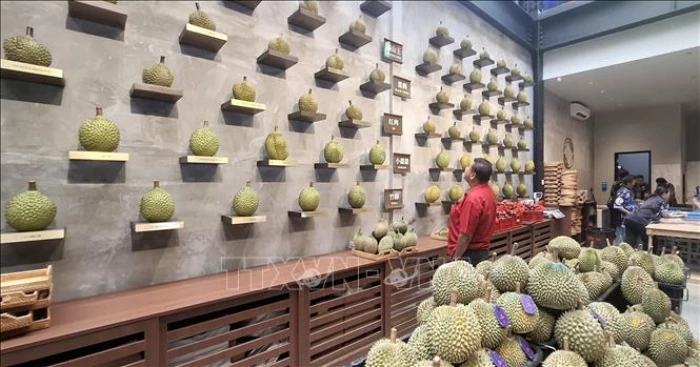 Thị trường nông sản: Sầu riêng Malaysia gặp khó với thị trường Trung Quốc