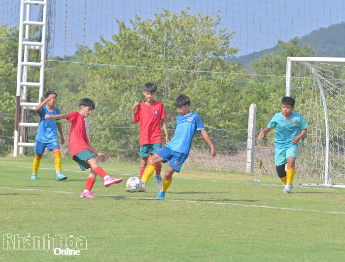 15 đội bóng tranh tài Giải bóng đá U13 tỉnh