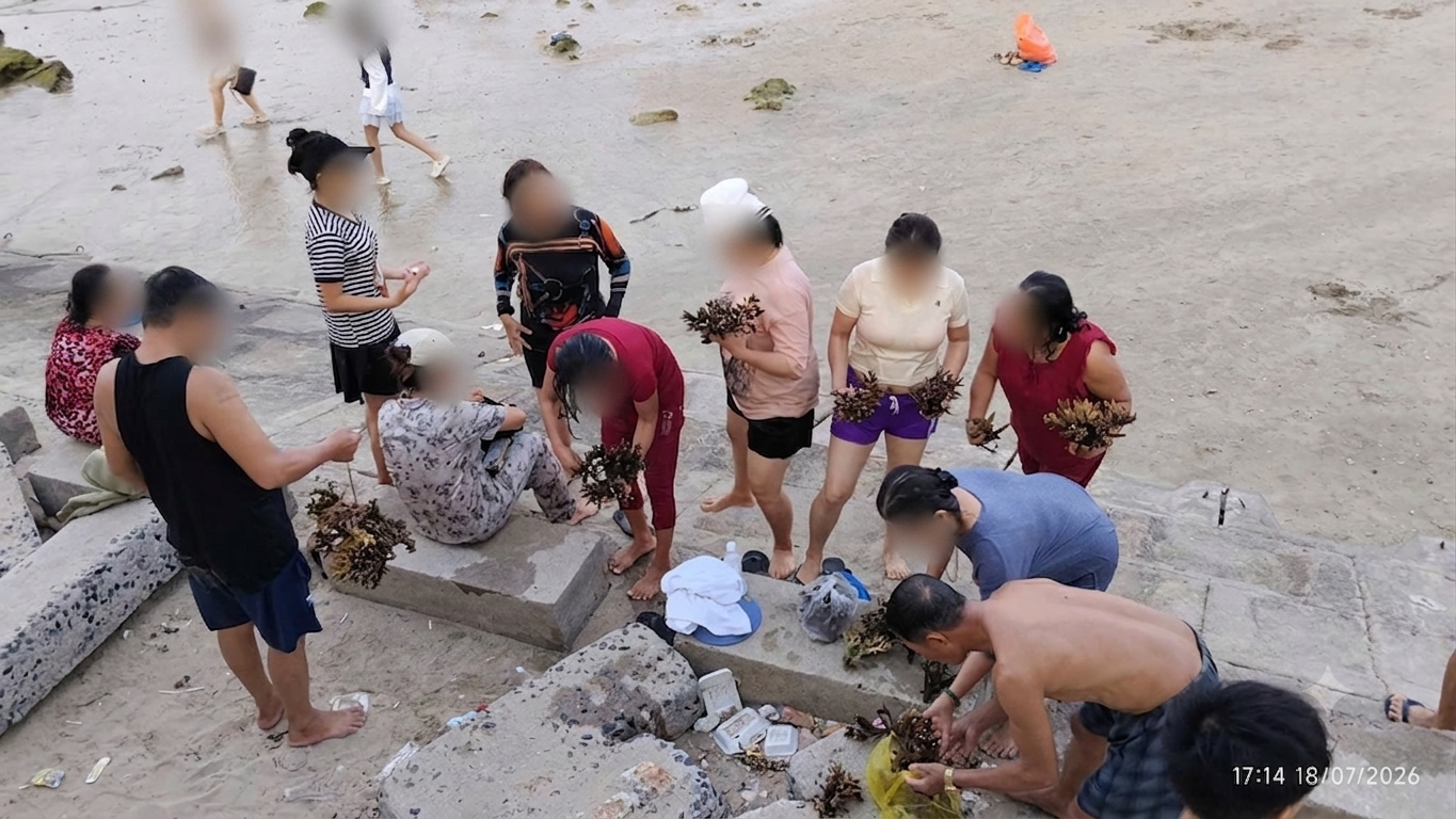 Nhóm người dân có dấu hiệu tác động đến san hô khu vực Hòn Chồng - Đặng Tất - Ảnh: UBND phường Bắc Nha Trang cung cấp.