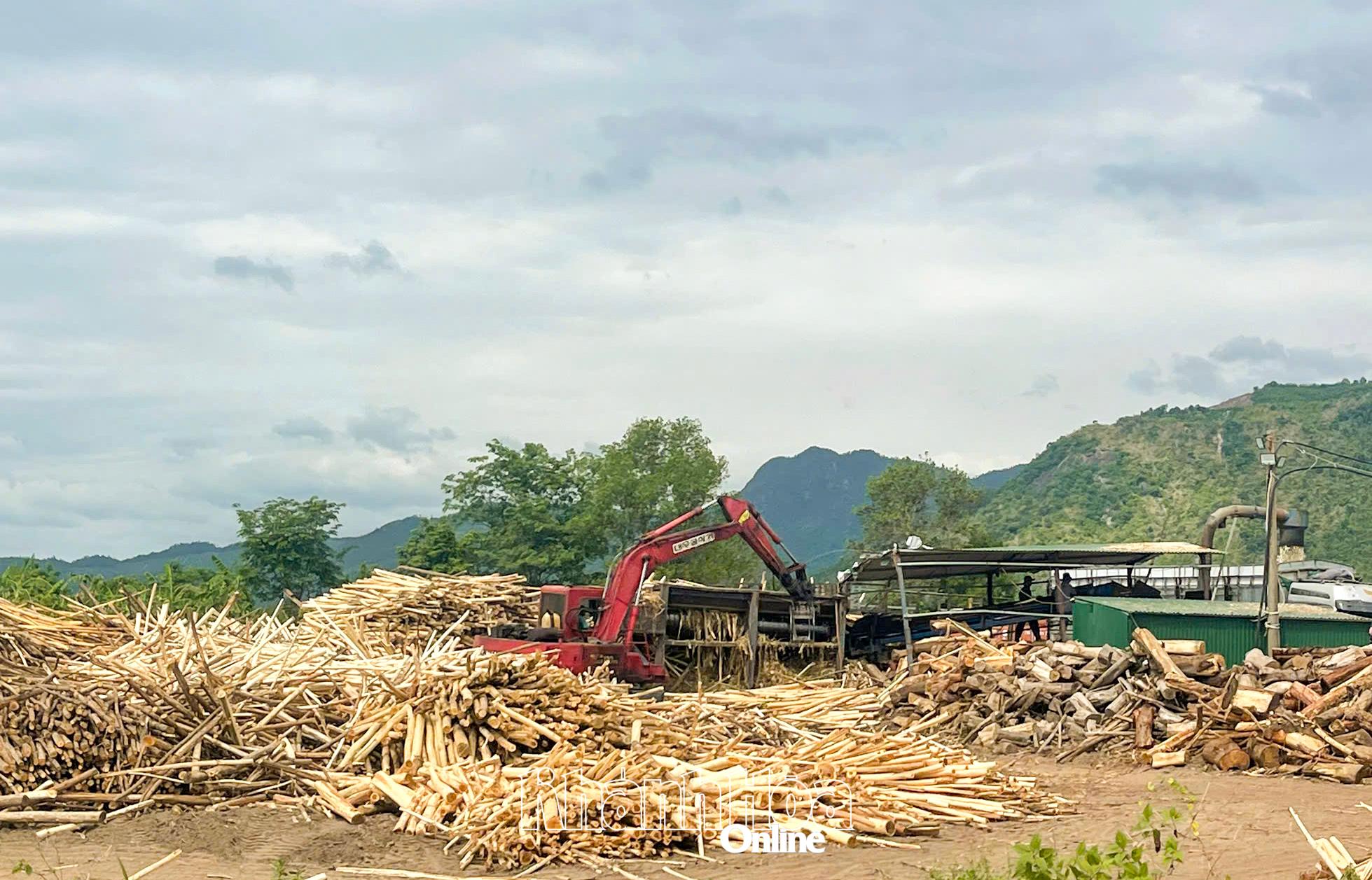 Gỗ từ rừng trồng của người dân xã Nam Ninh Hòa được thu hoạch, tập kết để bán.