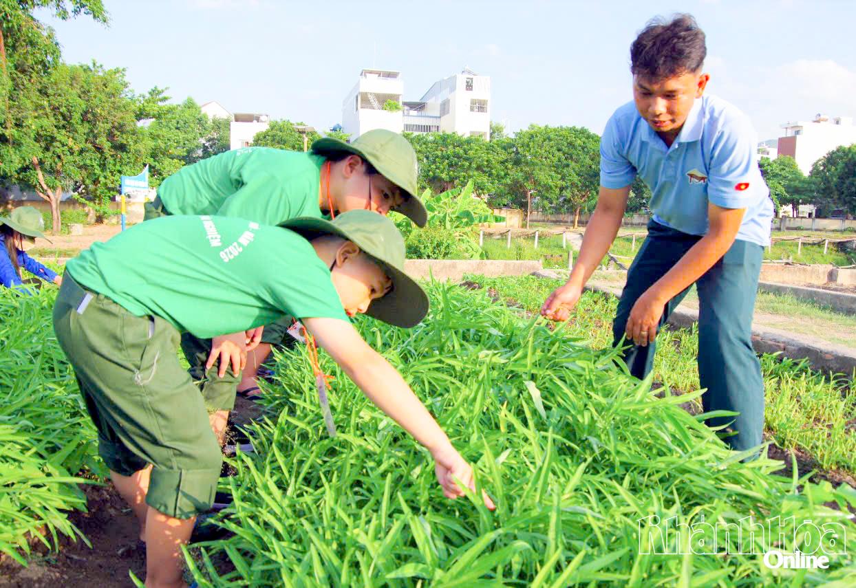 Học viên cùng tham gia chăm sóc vườn rau.