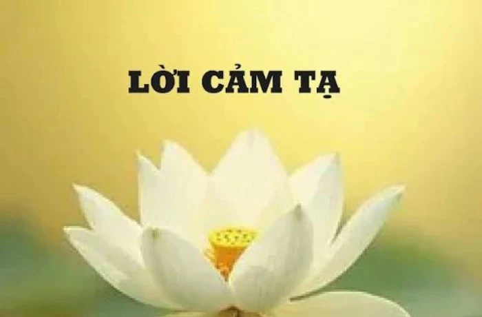 Lời cảm tạ!