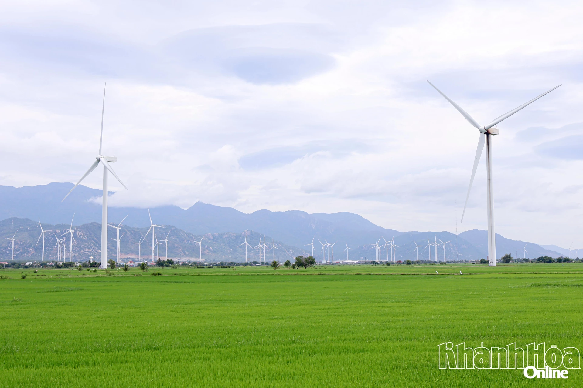 Thuan Bac - A colorful journey