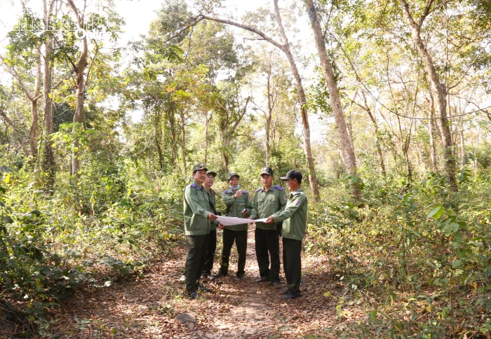 ​​​​​​​Hiện đại hóa công tác quản lý lâm nghiệp