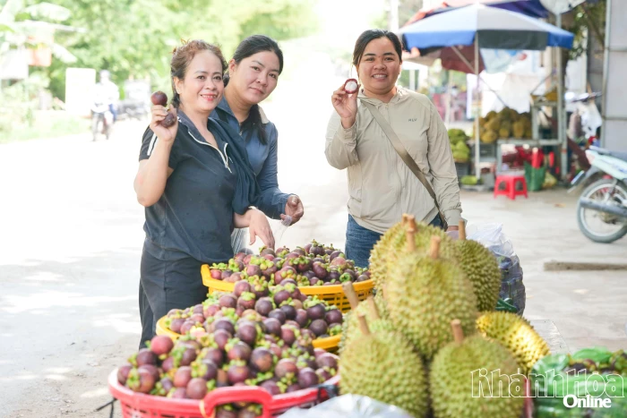 Tìm về vị ngọt Lâm Sơn