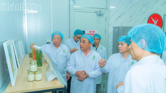 Đoàn doanh nhân của Canada và Nhật Bản tìm hiểu cơ hội hợp tác tại DTGROUP