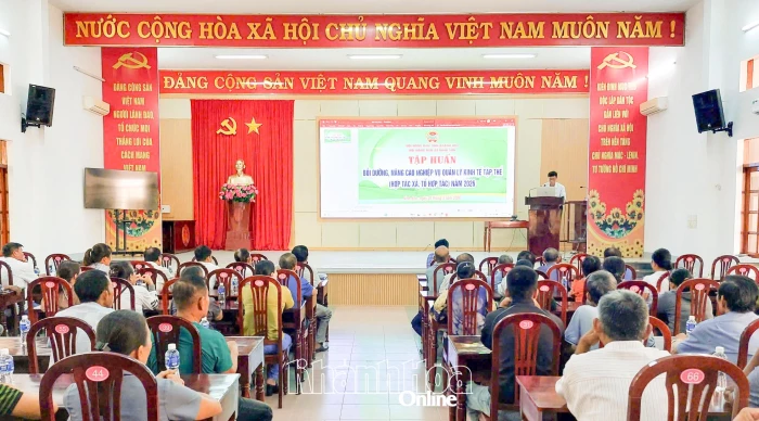 Hội Nông dân tỉnh tổ chức 12 lớp tập huấn về kinh tế tập thể