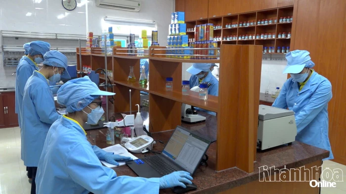 ​​​​​​​Tuyên truyền, quán triệt và triển khai thực hiện Kết luận số 51 của Bộ Chính trị