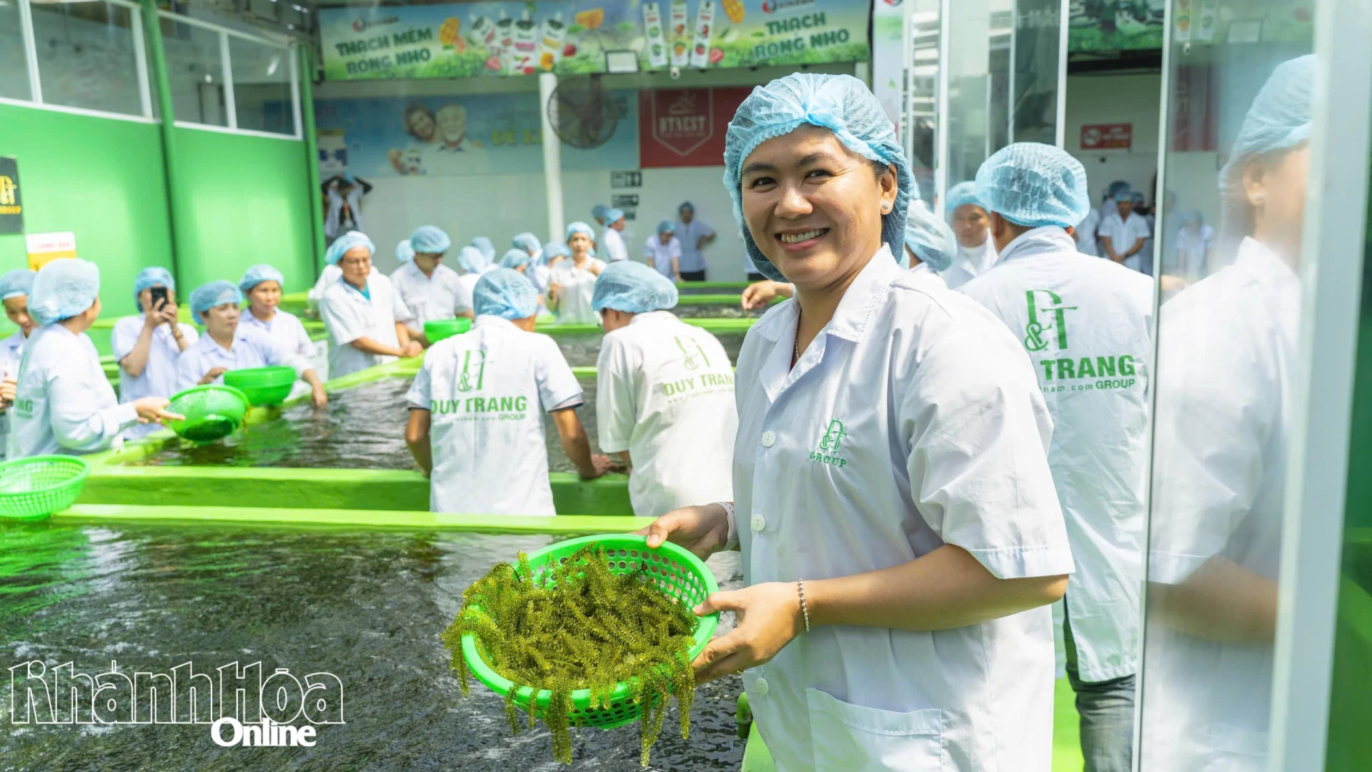Trong số các sản phẩm đặc trưng của Khánh Hòa, rong nho được đánh giá có nhiều lợi thế để tiếp cận thị trường Halal .