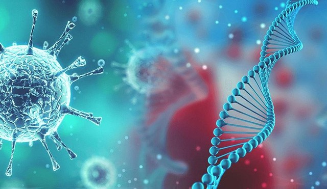 Ảnh minh họa. Nguồn: Reuters