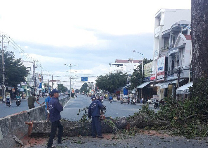 Nhân viên Công ty TNHH Môi trường Đô thị Diên Khánh đang tiến hành dọn dẹp hiện trường.