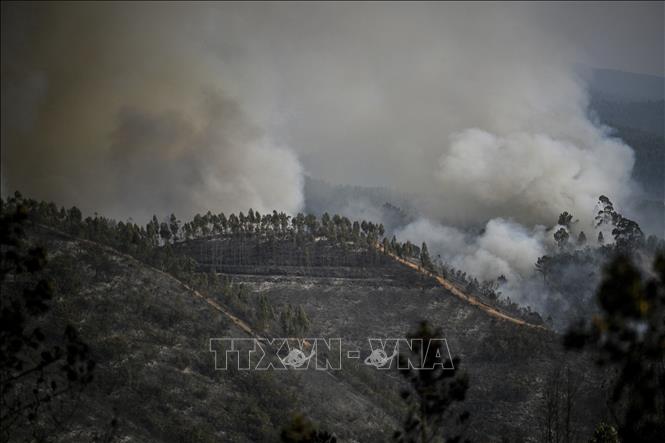 Khói bốc lên từ các đám cháy rừng tại Odeceixe, miền nam Bồ Đào Nha, ngày 8/8/2023. Ảnh: AFP/TTXVN

