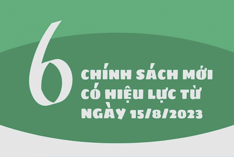 Ngày 15/8, sáu chính sách mới có hiệu lực thi hành