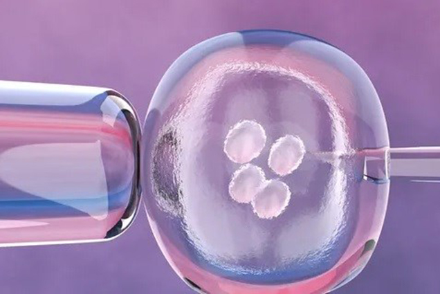 Tác dụng bất ngờ của AI trong hoạt động thụ tinh ống nghiệm