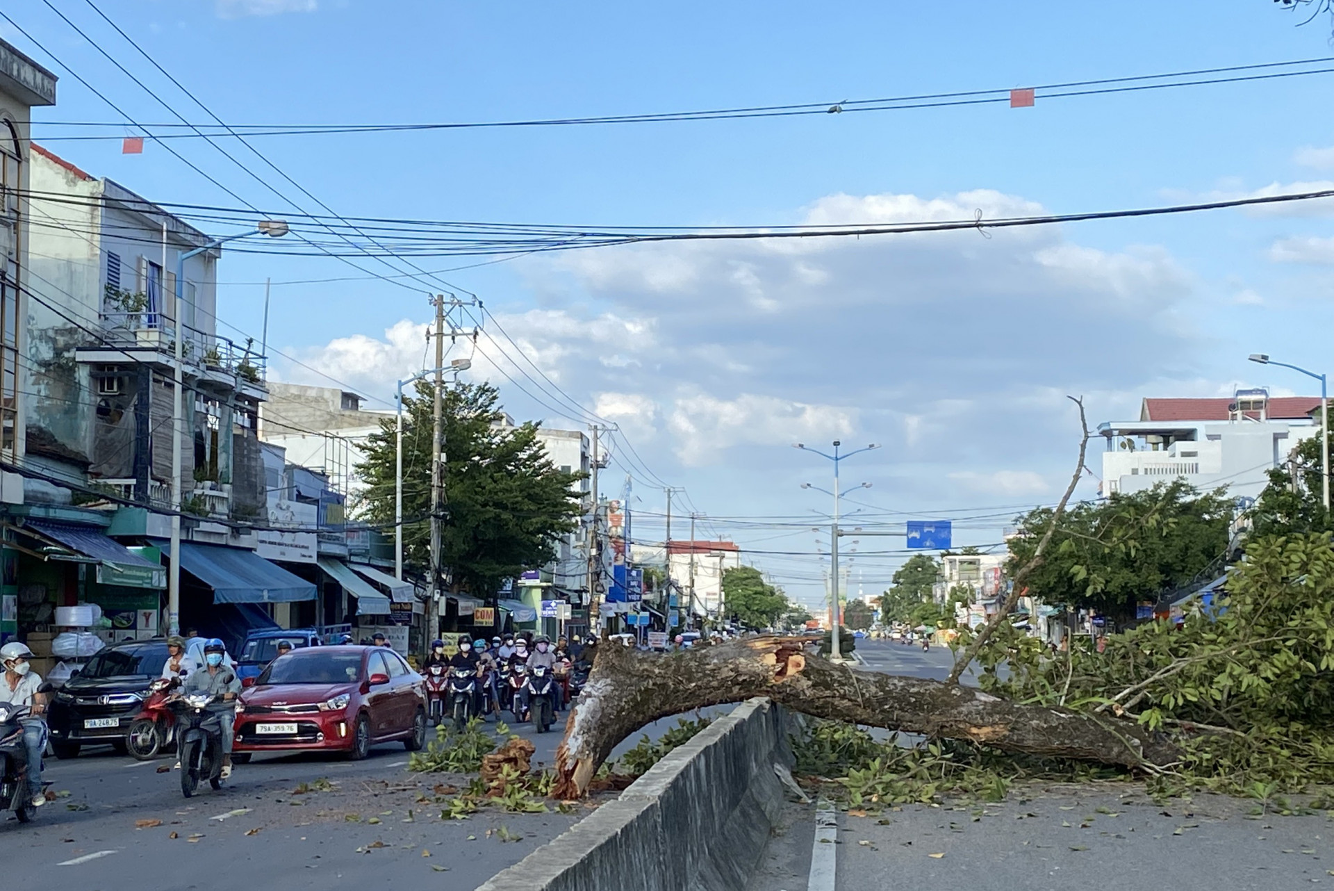 Vào lúc nnhanhf cây gãy, rất đông người tham gia giao thông.