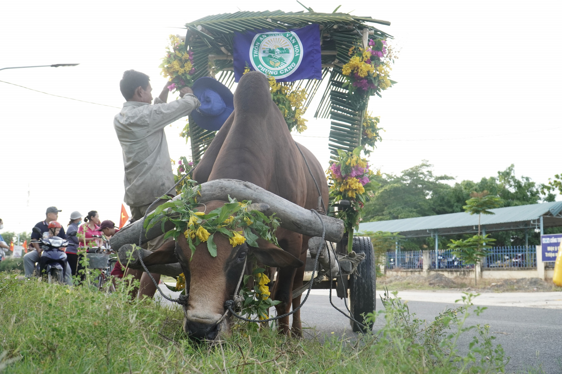 Sửa lại một số hoa trang trí trên xe bò.