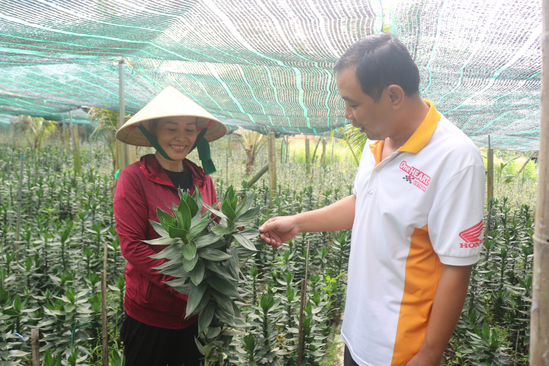 Hội Nông dân xã nhân rộng mô hình phát tài búp sen