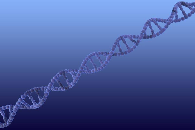 Giải mã bí ẩn nhiễm sắc thể Y xác định giới tính nam