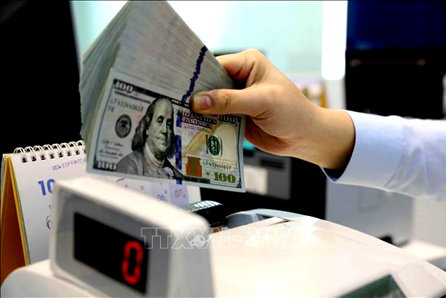 Tỷ giá trung tâm sáng 25/8 tăng