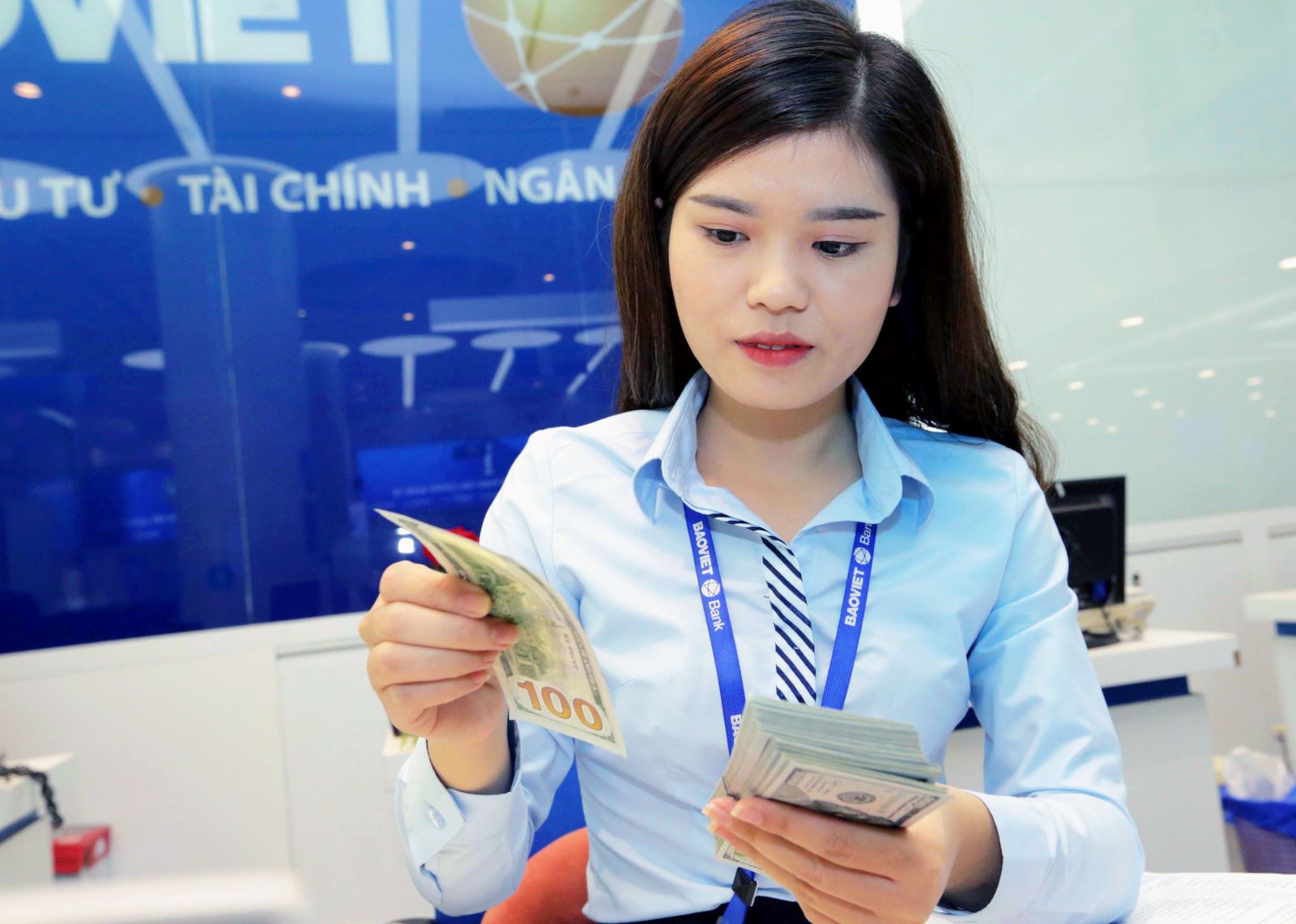 Tỷ giá trần mà các ngân hàng áp dụng hôm nay là 25.016 VND/USD và tỷ giá sàn là 22.577 VND/USD. Ảnh minh họa: TTXVN