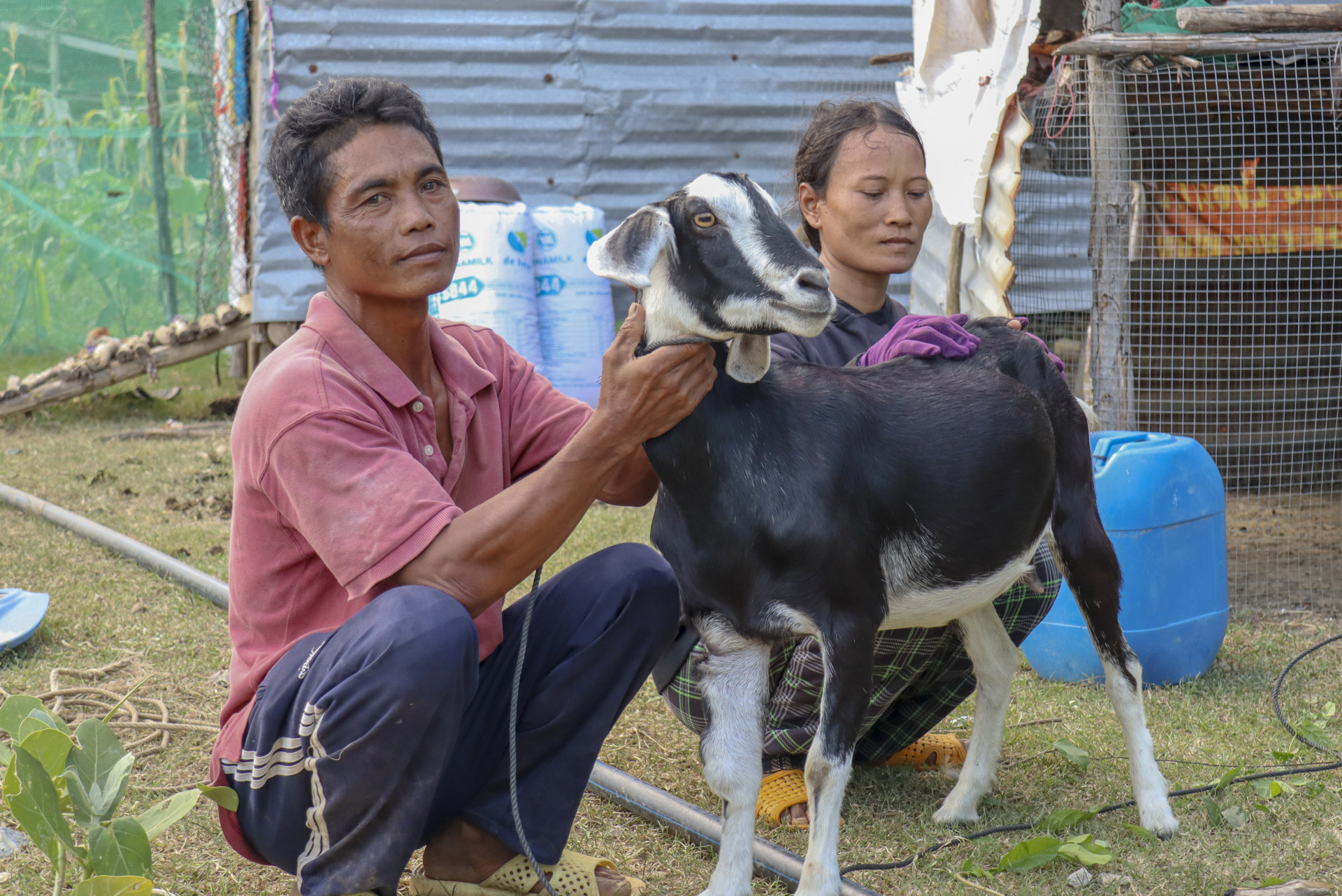 Nhờ nuôi dê đã giúp gia đình ông Mang Cương thoát nghèo.
