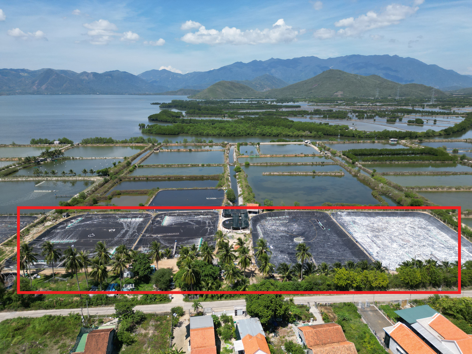 4 thửa đất (đánh dấu) do UBND xã Ninh Phú quản lý đang bị ông Lê Minh Chính canh tác trái phép.