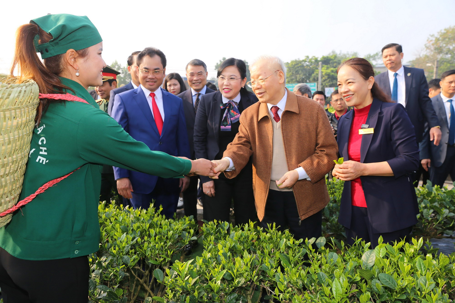 Tổng Bí thư Nguyễn Phú Trọng thăm Hợp tác xã chè Hảo Đạt, xã Tân Cương, thành phố Thái Nguyên, tỉnh Thái Nguyên _Nguồn: thainguyen.gov.vn

