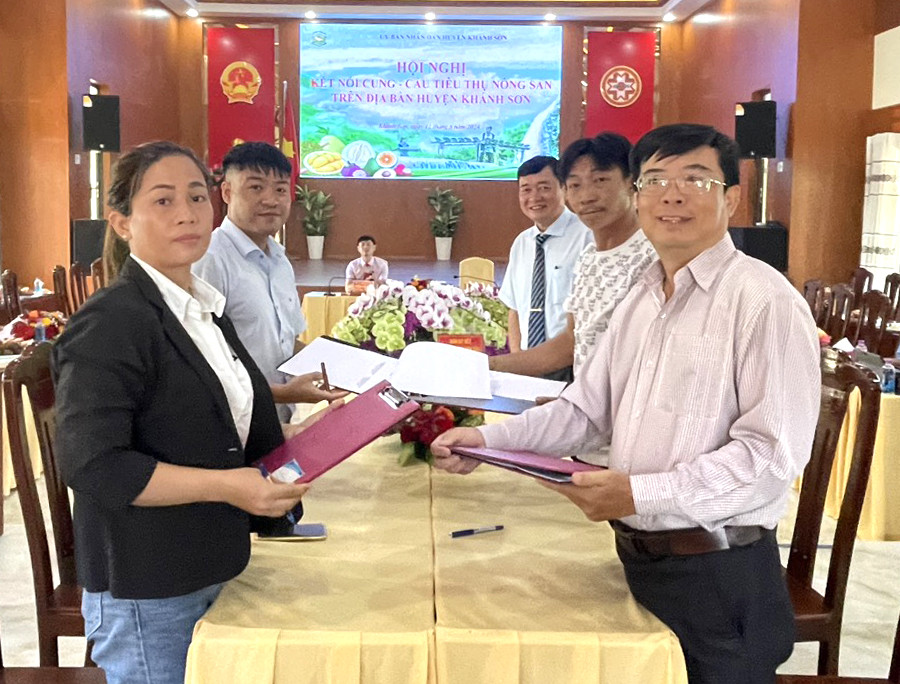 Purchasing facilities, gardeners and cooperatives in Khanh Son District sign a memorandum of agreement on agricultural product consumption

