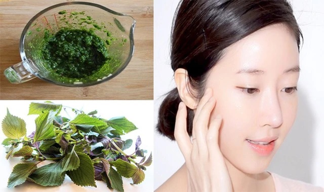 Thực hư lá tía tô trị mụn, đẹp da