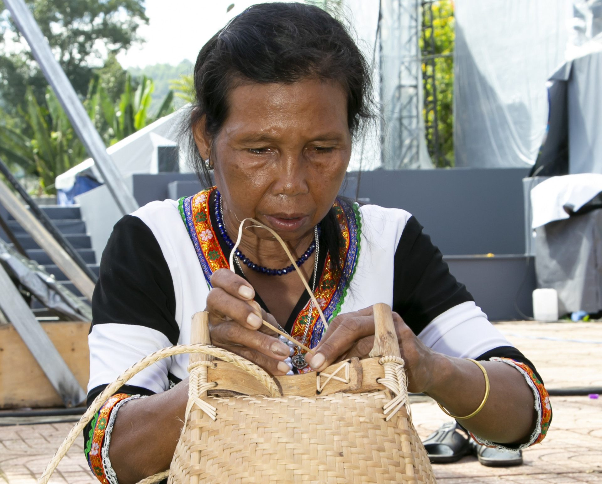 A matriarch showing her dexterous skills 

