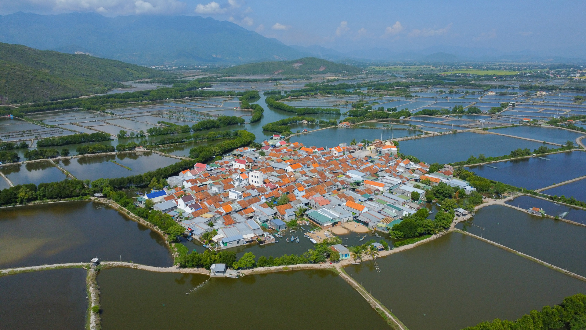 Làng Hà Liên như một “ốc đảo” giữa vùng nuôi trồng thủy sản ở đầm Nha Phu.