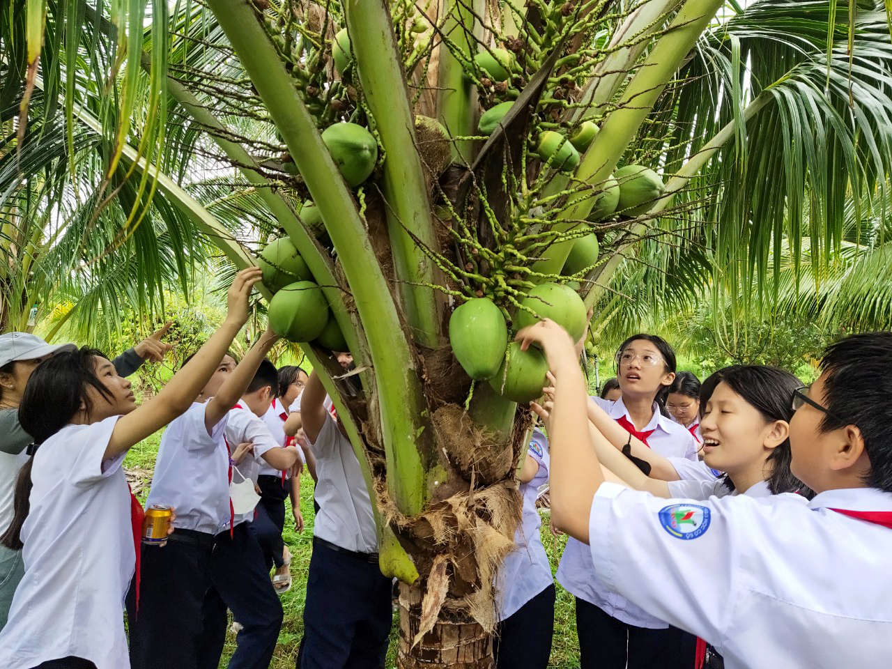 Các em học sinh tham quan vườn dừa ở Phượng Hoàng Farrm tại xã Ninh Tây (thị xã Ninh Hòa)