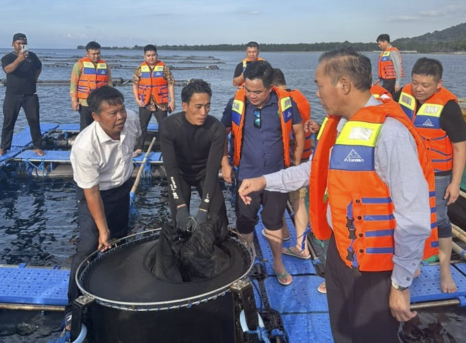 Việt Nam - Indonesia hợp tác phát triển nuôi trồng thuỷ sản: Công ty Pacific khẩn trương hoàn thành thủ tục đưa tôm hùm giống về Việt Nam