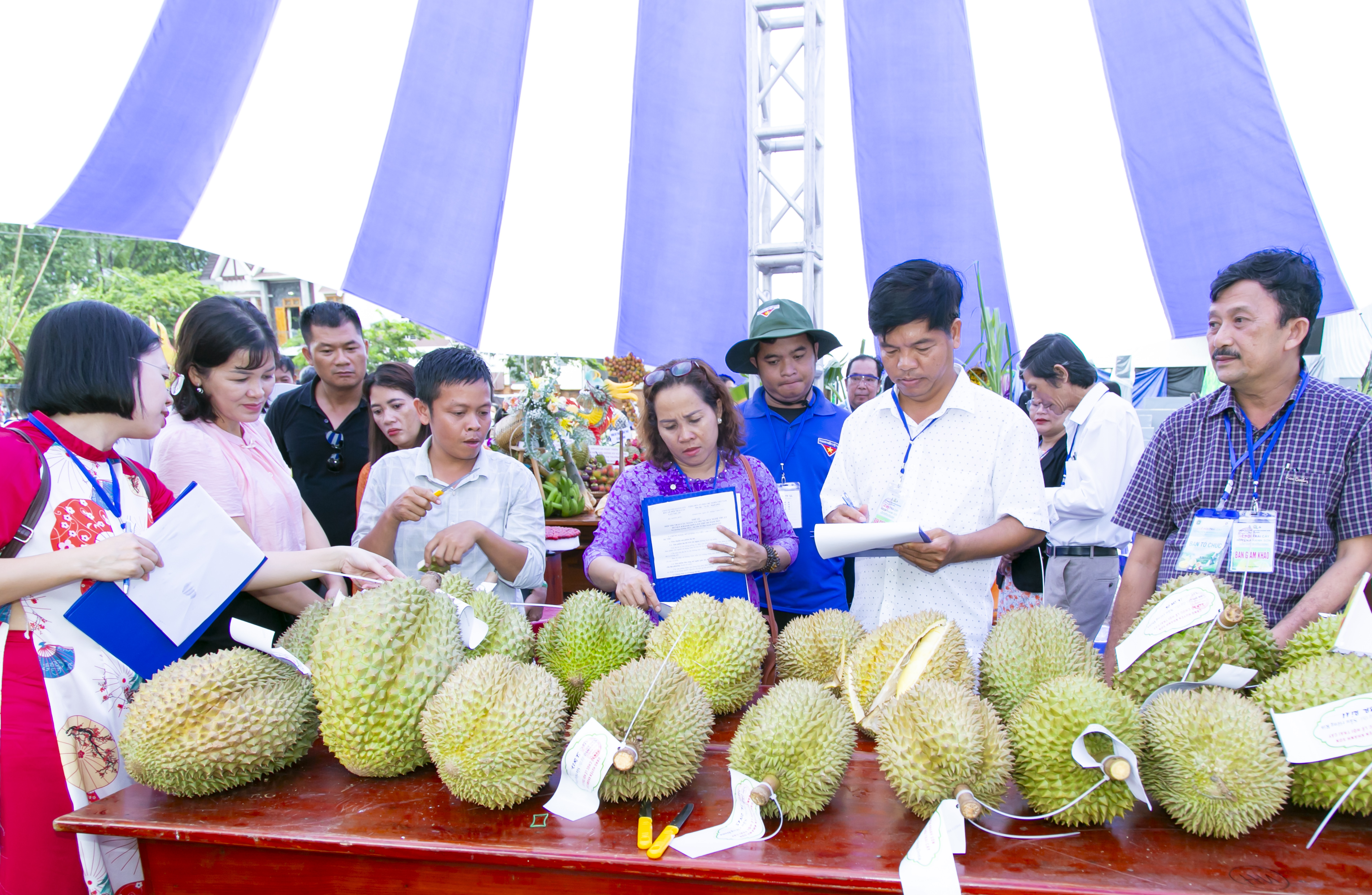 Nhiều loại trái cây ngon, siêu to tham gia hội thi trái cây huyện Khánh Sơn