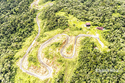 Ban Quản lý Khu Bảo tồn thiên nhiên Hòn Bà: Thực hiện 343 đợt tuần tra rừng, kiểm soát lâm sản