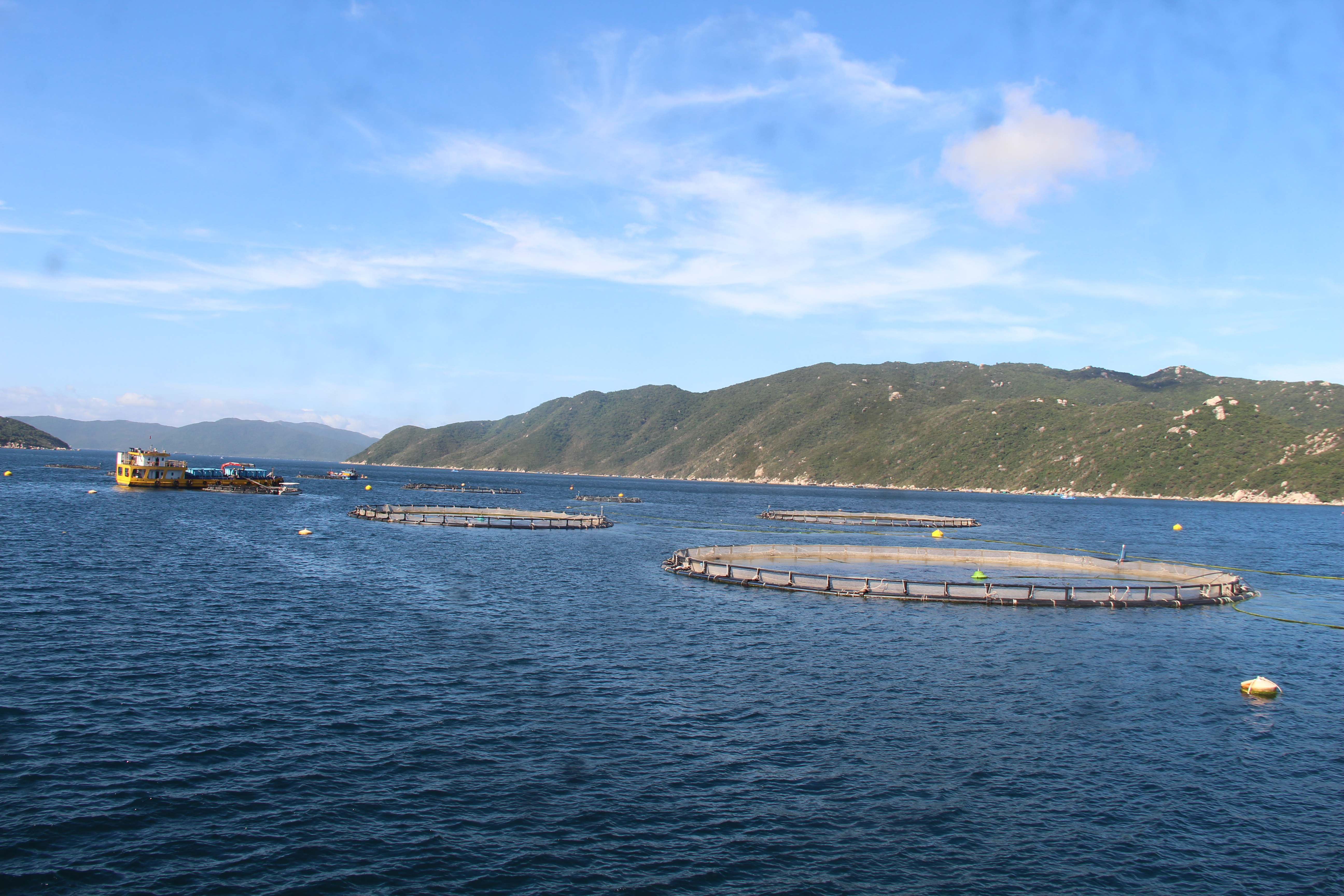 Tiến ra biển lớn - Kỳ cuối: Quyết tâm thực hiện thành công