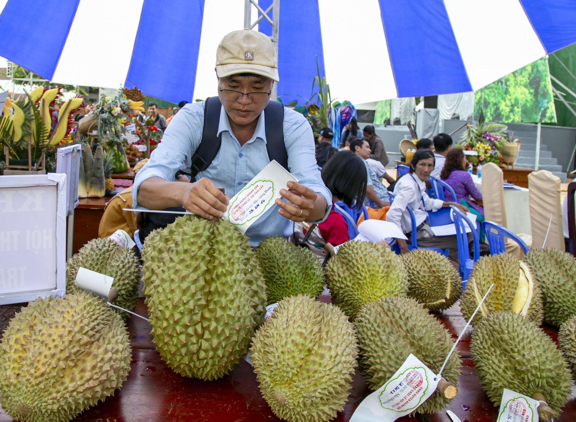 Những quả sầu riêng siêu to tham dự hội thi