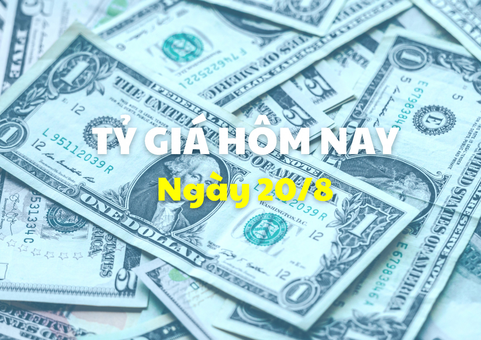 Tỷ giá hôm nay 20/8: Giá USD đồng loạt giảm sâu