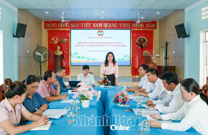Lãnh đạo Hội Nông dân tỉnh thăm, làm việc tại xã Nam Ninh Hòa