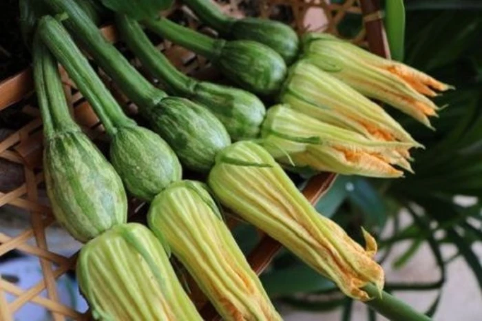 Lợi ích bất ngờ của hoa bí ngô với người tiểu đường