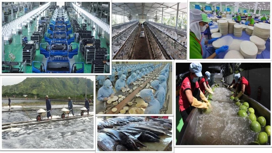 Sự trưởng thành của khu vực tư nhân trong nước là một trong những thành tựu quan trọng nhất của quá trình đổi mới. Ảnh: Báo Chính phủ 

