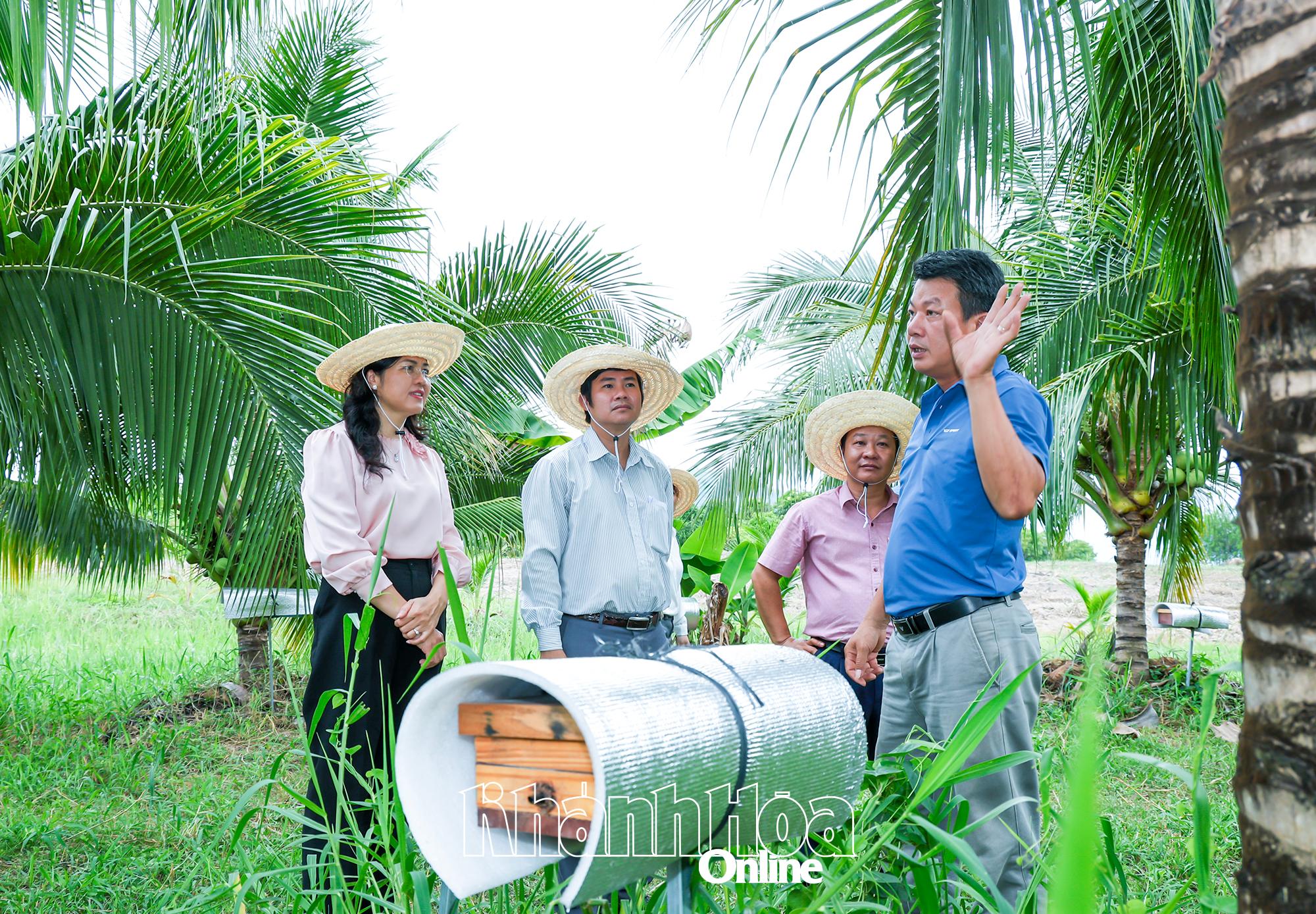 Đoàn công tác tìm hiểu mô hình nuôi ong dúi lấy mật tại Sản Việt Farm.