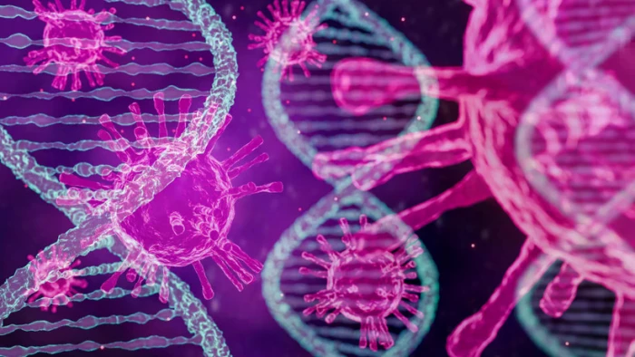 Phát hiện mới về virus bạch cầu và tiềm năng điều trị HIV