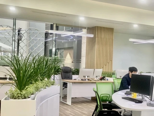 Cây xanh trong nhà mang lại nét tự nhiên và thẩm mỹ cho nơi làm việc, tạo ra bầu không khí hấp dẫn và ấn tượng hơn.
